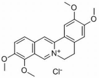 盐酸巴马汀