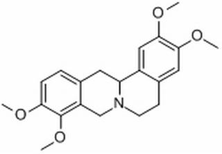 罗通定