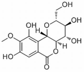 岩白菜素