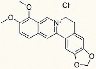 盐酸小檗碱