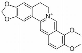 小檗碱