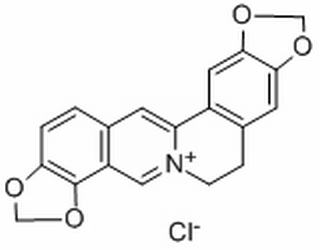 盐酸黄连碱