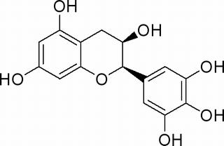 表没食子儿茶素