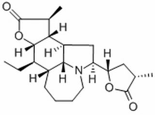 对叶百部碱