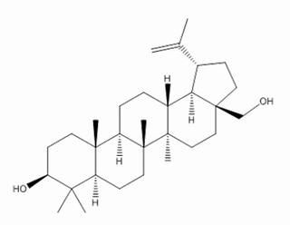 白桦脂醇