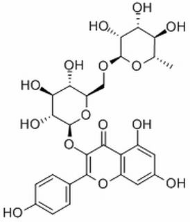 山柰酚-3-O-芸香糖苷