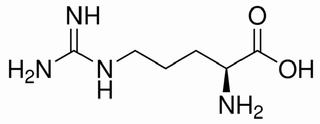 L-精氨酸