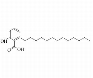 白果新酸（银杏酸C13:0）