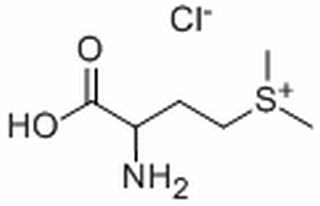 维生素U