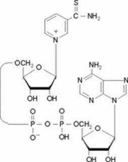 硫代氧化型辅酶I