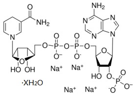 还原辅酶Ⅱ四钠盐