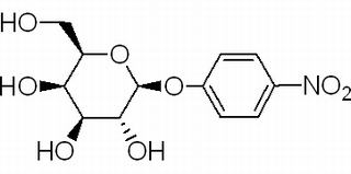 对硝基苯基-β-D-吡喃半乳糖苷