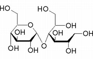 麦芽糖醇