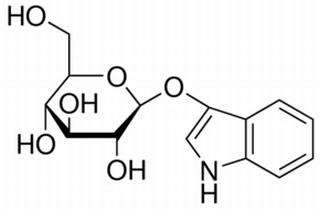 3-吲哚基-β-D-吡喃葡萄糖苷