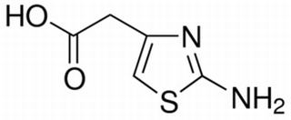 2-氨基-4-噻唑乙酸