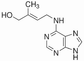 植物激素BR图片