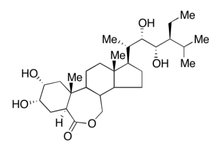 28-表高油菜素内酯