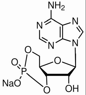 环磷酸腺苷钠盐