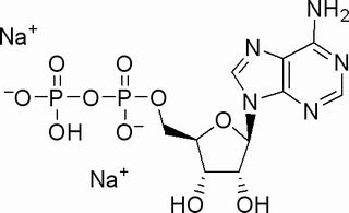 5-腺苷二磷酸二钠盐
