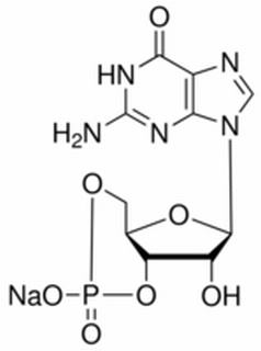 鸟苷-3'，5'-环磷酸钠盐