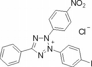 碘硝基氯化四氮唑蓝