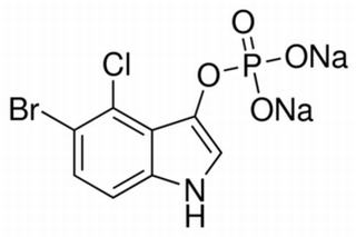 5-溴-4-氯-3-吲哚磷酸二钠盐