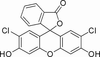 2′,7′-二氯荧光素