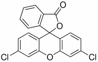 3',6'-二氯荧光素