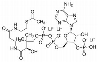 乙酰辅酶A三锂盐