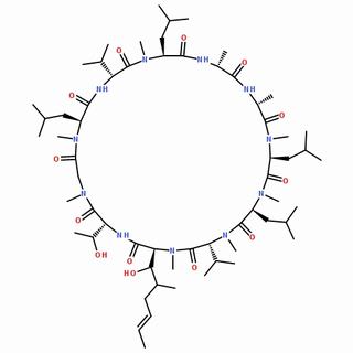 环孢菌素C
