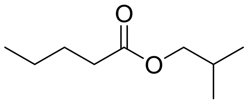2-甲基丙基戊酸酯